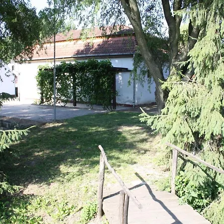 Erzsebet Vendeghaz