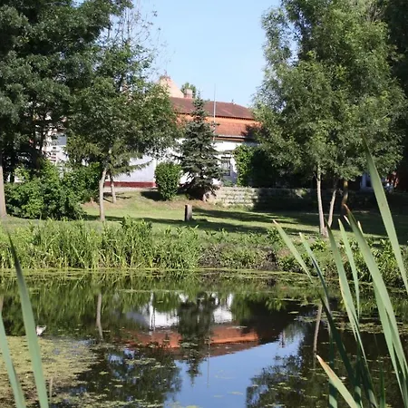 Erzsebet Vendeghaz Vese